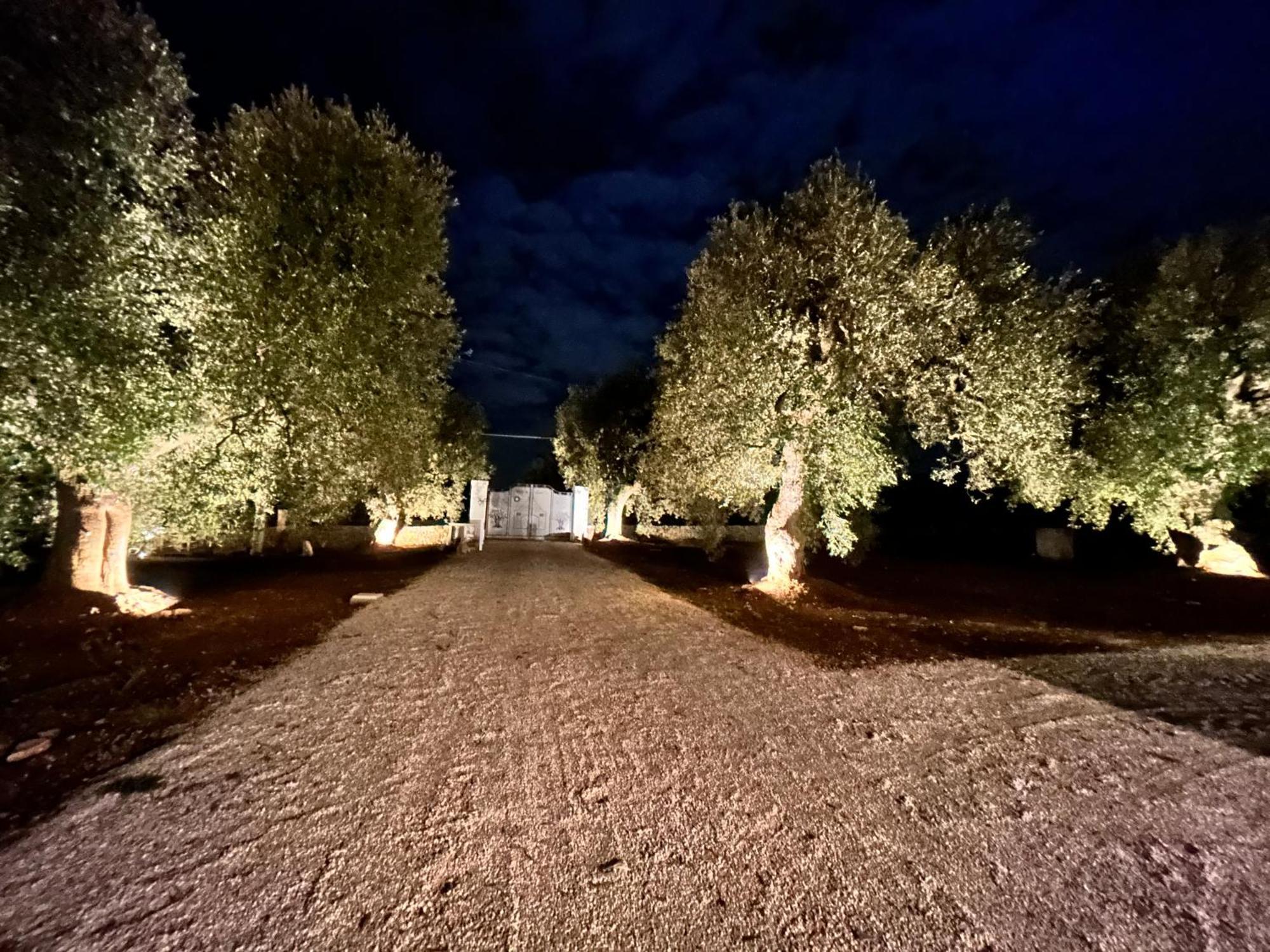 Il Trullo Di Bina Bed & Breakfast Pezze Di Greco Exterior photo